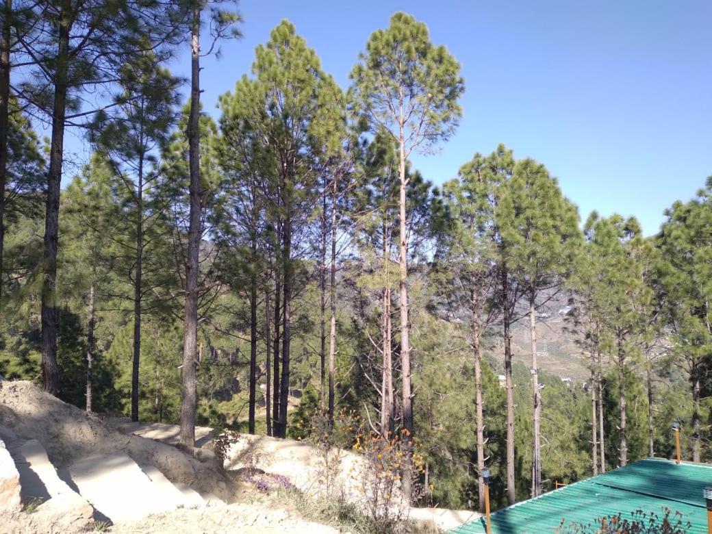 Nature Villaas Basa Homestay Pauri Екстериор снимка