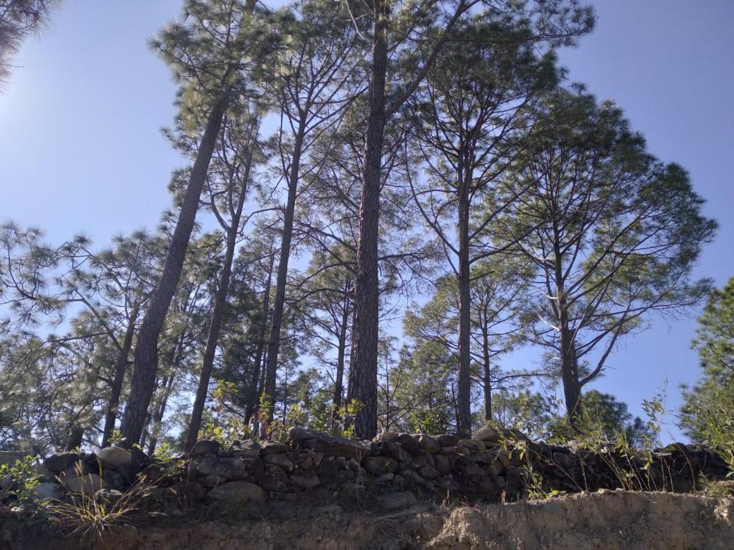 Nature Villaas Basa Homestay Pauri Екстериор снимка