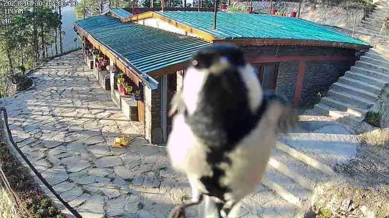 Nature Villaas Basa Homestay Pauri Екстериор снимка